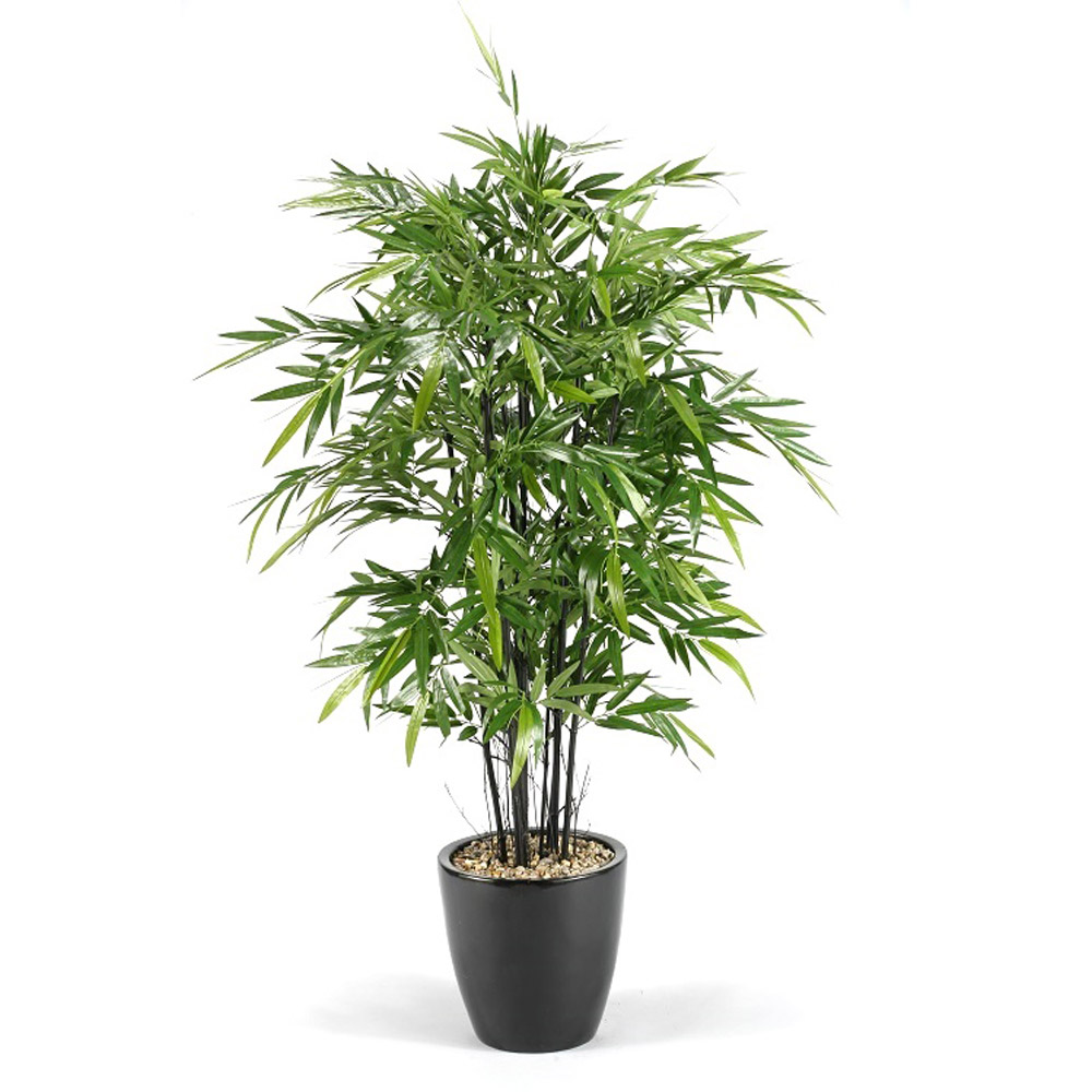Bamboo Tree in Black Round Planter 6ft Zuri Furniture