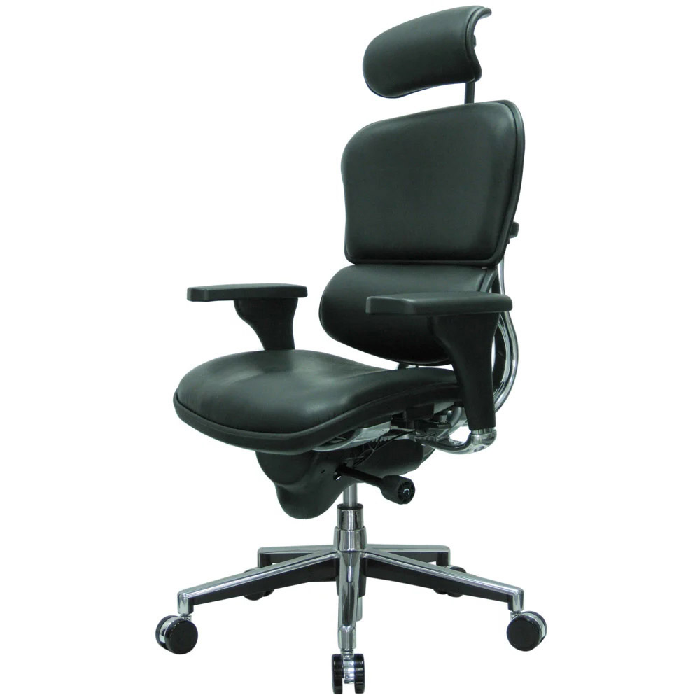 Modern Ergohuman Leather Leather Swivel Chair with Headrest Black